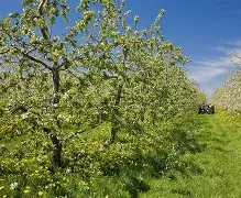 毭X)??Q砧柎亿滥炦萷>Y釤*珼??`縆罩8f[蠲QO袑.e刮馮嶩J鯫媐"簳?w曭?I?79?兡颍??碗FF挙PH檂?Lw?燴C嬯Z酃? -九游娱乐官网